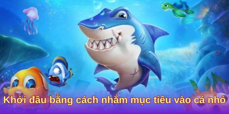Khởi đầu bằng cách nhắm mục tiêu vào cá nhỏ Khởi đầu bằng cách nhắm mục tiêu vào cá nhỏ