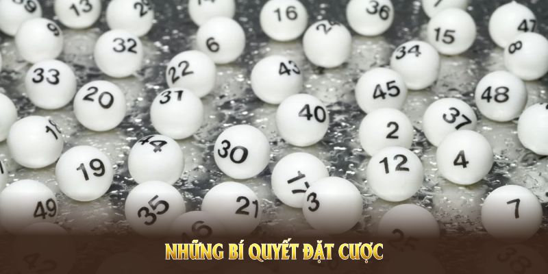 Những bí quyết đặt cược trong sảnh xổ số PG88 được cao thủ chia sẻ Những bí quyết đặt cược trong sảnh xổ số PG88 được cao thủ chia sẻ