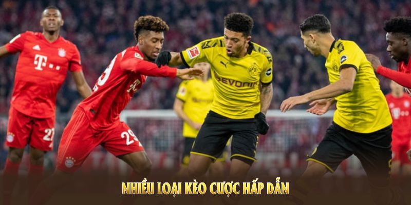 Nhiều loại kèo cược hấp dẫn trong sảnh thể thao PG88 Nhiều loại kèo cược hấp dẫn trong sảnh thể thao PG88